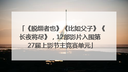 《脱缰者也》《比如父子》《长夜将尽》，12部影片入围第27届上影节主竞赛单元