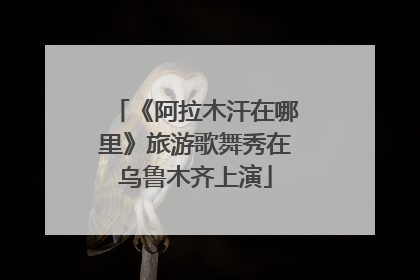 《阿拉木汗在哪里》旅游歌舞秀在乌鲁木齐上演