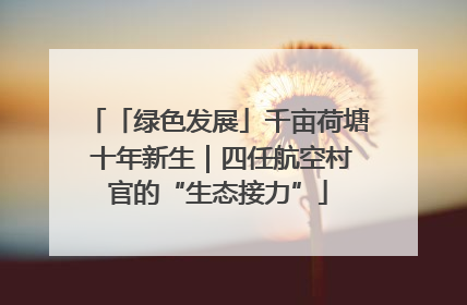 「绿色发展」千亩荷塘 十年新生｜四任航空村官的“生态接力”