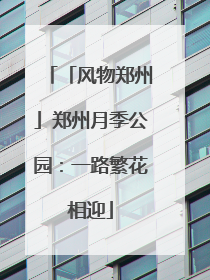 「风物郑州」郑州月季公园:一路繁花相迎
