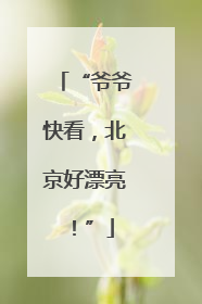“爷爷快看，北京好漂亮！”