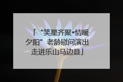 “笑星齐聚•情暖夕阳”老龄慰问演出走进乐山马边县
