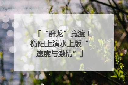 “群龙”竞渡！衡阳上演水上版“速度与激情”