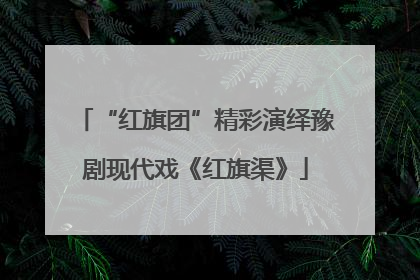 “红旗团”精彩演绎豫剧现代戏《红旗渠》