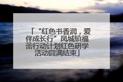 “红色书香润，爱伴成长行”凤城镇福蕾行动计划红色研学活动圆满结束