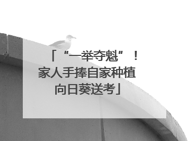 “一举夺魁”！家人手捧自家种植向日葵送考