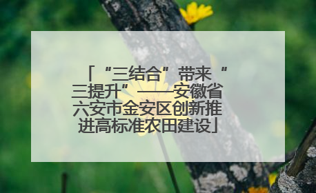 “三结合”带来“三提升”——安徽省六安市金安区创新推进高标准农田建设