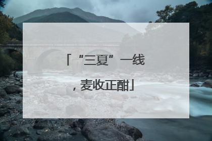“三夏”一线，麦收正酣