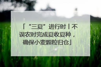 “三夏”进行时丨不误农时完成夏收夏种，确保小麦颗粒归仓