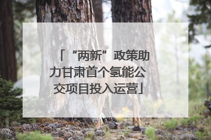 “两新”政策助力甘肃首个氢能公交项目投入运营