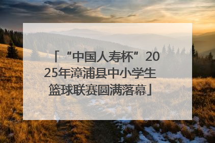 “中国人寿杯”2025年漳浦县中小学生篮球联赛圆满落幕