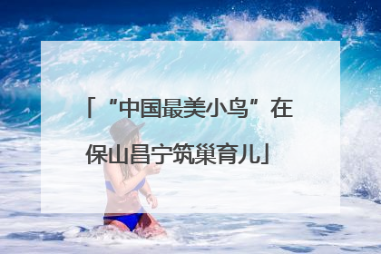 “中国最美小鸟”在保山昌宁筑巢育儿