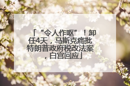 “令人作呕”！卸任4天，马斯克痛批特朗普政府税改法案，白宫回应