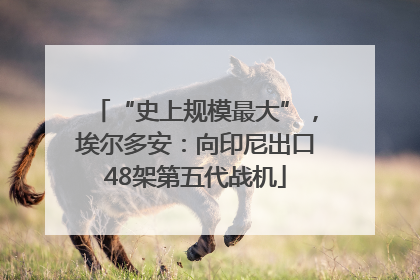 “史上规模最大”，埃尔多安：向印尼出口48架第五代战机