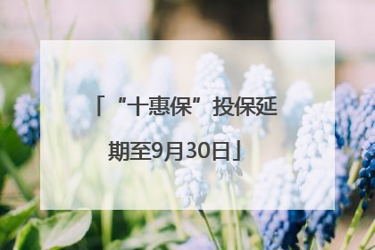 “十惠保”投保延期至9月30日