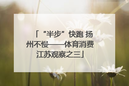 “半步”快跑 扬州不慢——体育消费江苏观察之三