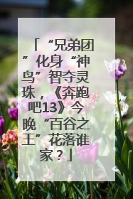 “兄弟团”化身“神鸟”智夺灵珠，《奔跑吧13》今晚“百谷之王”花落谁家？