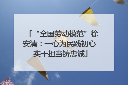 “全国劳动模范”徐安清：一心为民践初心 实干担当铸忠诚