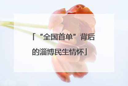 “全国首单”背后的淄博民生情怀