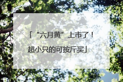 “六月黄”上市了！超小只的可按斤买