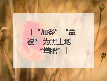 “加餐”“盖被” 为黑土地“增肥”