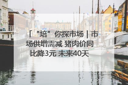 “培”你探市场｜市场供增需减 猪肉价同比降3元 未来40天便宜猪肉敞开吃