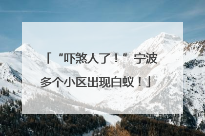“吓煞人了！”宁波多个小区出现白蚁！