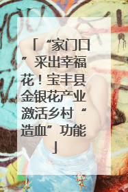 “家门口”采出幸福花！宝丰县金银花产业激活乡村“造血”功能