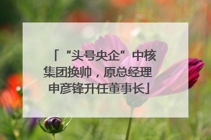 “头号央企”中核集团换帅，原总经理申彦锋升任董事长
