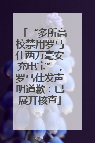 “多所高校禁用罗马仕两万毫安充电宝”，罗马仕发声明道歉：已展开核查