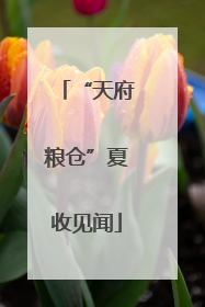 “天府粮仓”夏收见闻