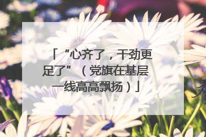 “心齐了，干劲更足了”（党旗在基层一线高高飘扬）