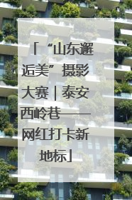 “山东邂逅美”摄影大赛｜泰安西岭巷——网红打卡新地标
