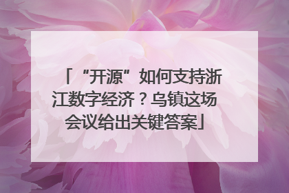 “开源”如何支持浙江数字经济？乌镇这场会议给出关键答案