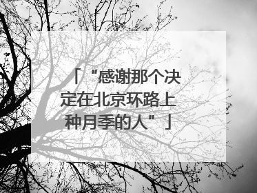 “感谢那个决定在北京环路上种月季的人”