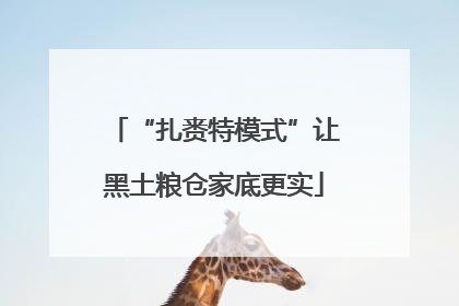 “扎赉特模式”让黑土粮仓家底更实