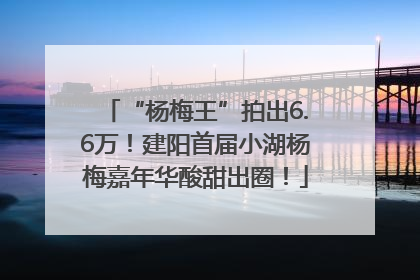 “杨梅王”拍出6.6万！建阳首届小湖杨梅嘉年华酸甜出圈！