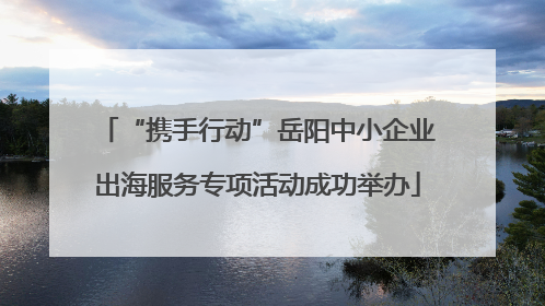 “携手行动”岳阳中小企业出海服务专项活动成功举办