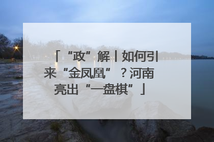 “政”解丨如何引来“金凤凰”？河南亮出“一盘棋”