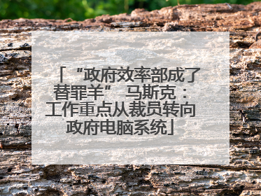 “政府效率部成了替罪羊” 马斯克：工作重点从裁员转向政府电脑系统