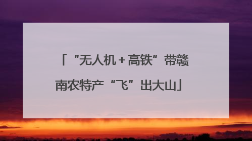 “无人机＋高铁”带赣南农特产“飞”出大山