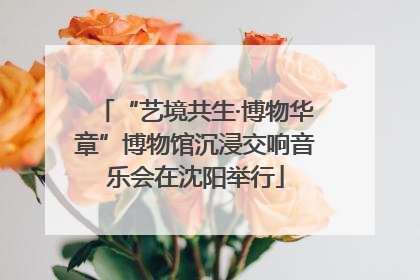 “艺境共生·博物华章”博物馆沉浸交响音乐会在沈阳举行