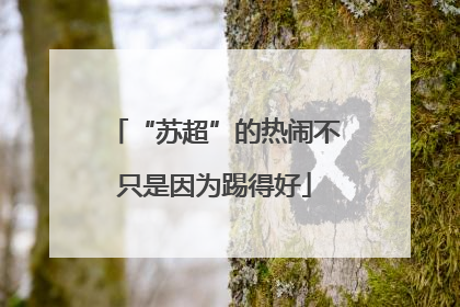 “苏超”的热闹不只是因为踢得好