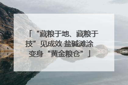 “藏粮于地、藏粮于技”见成效 盐碱滩涂变身“黄金粮仓”