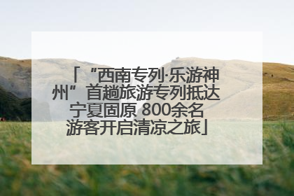 “西南专列·乐游神州”首趟旅游专列抵达宁夏固原 800余名游客开启清凉之旅
