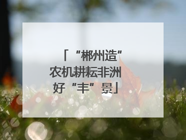 “郴州造”农机耕耘非洲好“丰”景