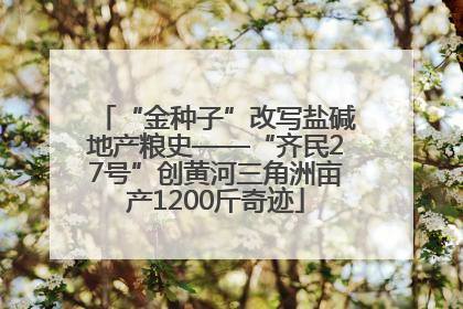 “金种子”改写盐碱地产粮史——“齐民27号”创黄河三角洲亩产1200斤奇迹