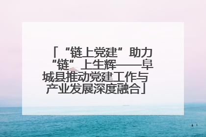 “链上党建”助力“链”上生辉——阜城县推动党建工作与产业发展深度融合