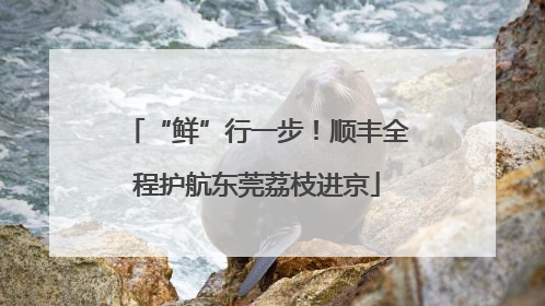 “鲜”行一步！顺丰全程护航东莞荔枝进京