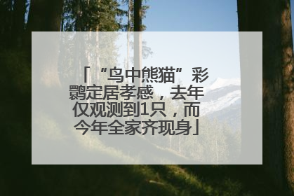 “鸟中熊猫”彩鹮定居孝感，去年仅观测到1只，而今年全家齐现身
